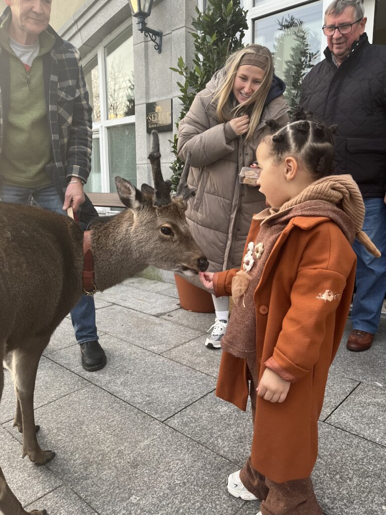 Deermuid and the girl